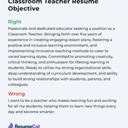 Out Of This World Top Classroom Teacher Resume Objective Examples Example