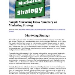 Great Sample Marketing Essay Summary On Strategy