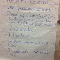 Excellent How To Start An Essay