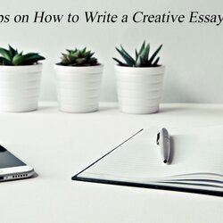 Super Efficient Tips On How To Write Creative Essay The Pinnacle List