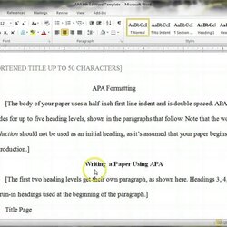 Brilliant Sample Document Essay Example Heading Headings Subheadings Paragraph Formatting Margins For