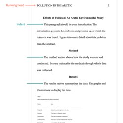Terrific Essay Style Format Professional Paper Body Page