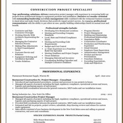 Resume Objective Financial Examples Project Managers For