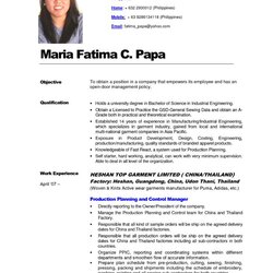 Resume Templates Monster Professional