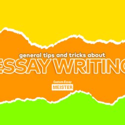 Champion How To Write An Essay
