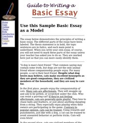 What Is Essay Writing Example Guide Basic Sample