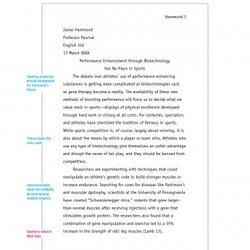Splendid Chicago Style Essay Example Format Paper Argumentative Title Persuasive Template Narrative Sample