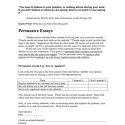 Very Good Amazing Persuasive Essay Examples