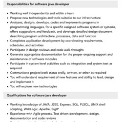 Fine Software Java Developer Job Description Velvet Jobs