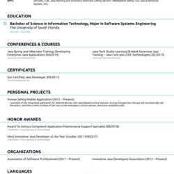 Terrific Java Developer Resume Sample How To Guide Page