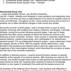 Peerless Scholarship Essay Examples Template Free Download Speedy Example Sample Application