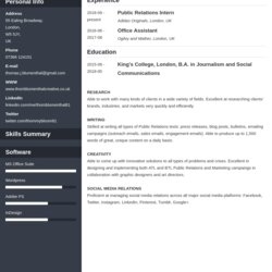 Superb Skills Based Resume Template Examples Format For Cascade