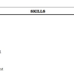 Great How To Write Resume Skills Section Example Sample Person