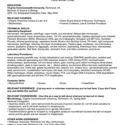 Resume Examples Skills Professional Template Free