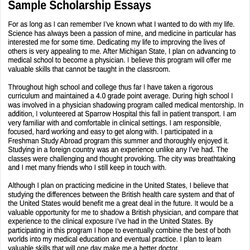 Worthy Essay Help Format Basic Scholarship Examples Editing