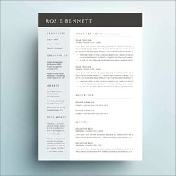 Superior Microsoft Office Online Free Resume Templates Example Gallery