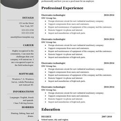 Champion Free Microsoft Office Resume Templates Example Gallery