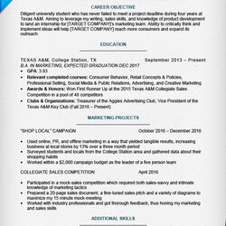 Fine Best Internship Resume Templates To Download For Free Sample Student College Accounting Entry Level