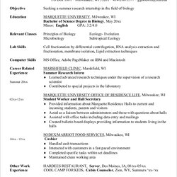 Capital Free Sample Internship Resume Templates In Ms Word Experience With