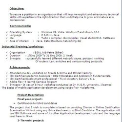 Great Job Resume Examples And Samples Free Download Format