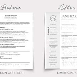 Wizard Resume Examples For Job Seekers In Any Industry Example