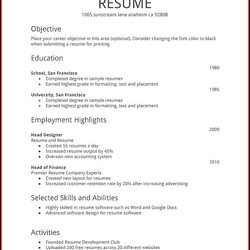 Magnificent Job Resumes Examples Resume For Jobs