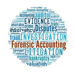 Exceptional Object Description Essay Example Forensic Accounting Case Examples