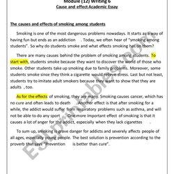 Superb Cause And Effect Essay Worksheet By