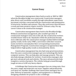 Interview Essay Examples Format Career Samples Doc