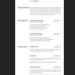 Best Resume Format Curriculum Vitae Examples Web Example Templates Template Great Beautiful