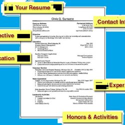 Sterling How To Format Your Resume For Job Applications Freshers Sample Samples Latest Jobs