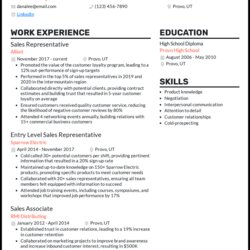 The Highest Quality Sales Representative Resume Example Writing Tips