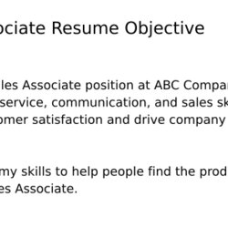 Out Of This World Top Sales Associate Resume Objective Examples