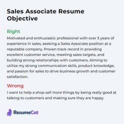Top Sales Associate Resume Objective Examples Example