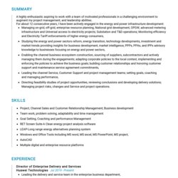 Spiffing Professional Resume Samples For Project Technical Vitae