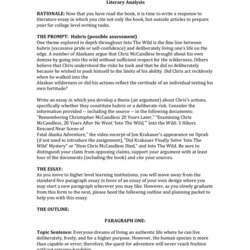 Into The Wild Analysis Critical Review Of Literary Essay
