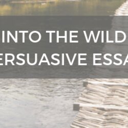 Custom Essay Into The Wild Persuasive