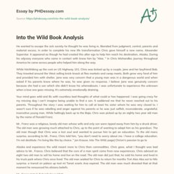 Fine Into The Wild Book Analysis