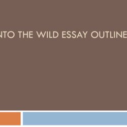Outstanding Into The Wild Essay Outline