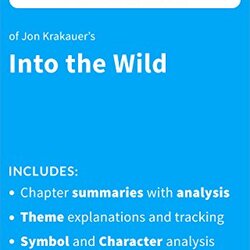 Into The Wild Analysis Critical Review Of Essay Sample