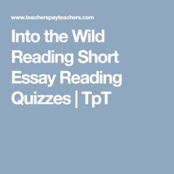 Into The Wild Reading Short Essay Quizzes