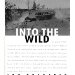 Exceptional Into The Wild Essays Free Ideas To Consider Essay Writing