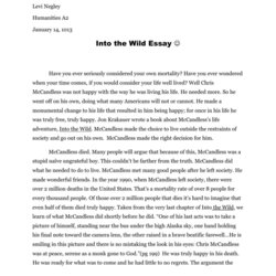 Wonderful Into The Wild Essay