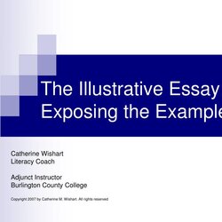 Smashing The Illustrative Essay Exposing Examples Presentation Skip