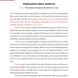 High Quality Persuasive Essay Example Writing Samples