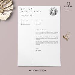 Professional Cover Letter Template Letterhead