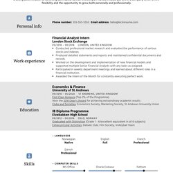 Superior Resume Objective Statement Template How To Create The Perfect One