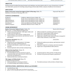 Free Sample Objective Statement Resume Templates In Nursing Example