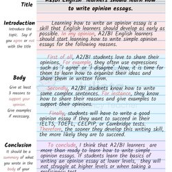 Exceptional How To Write An Opinion Essay Outline