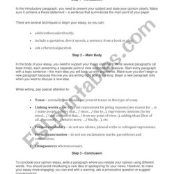 Writing An Opinion Essay Worksheet By Good Witch